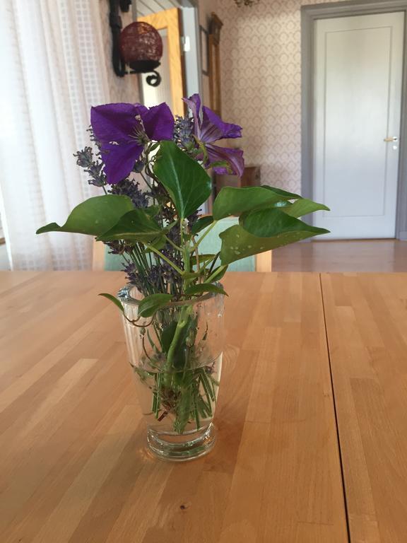 Hagaborg Bed & Breakfast Köpingsvik Kültér fotó