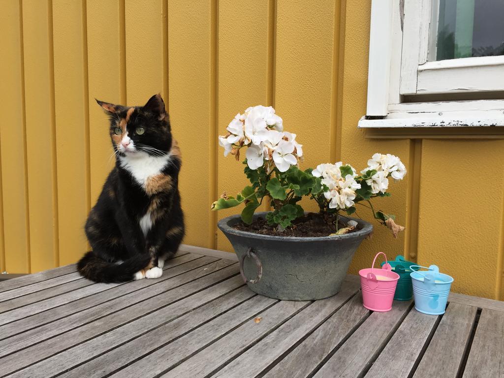 Hagaborg Bed & Breakfast Köpingsvik Kültér fotó